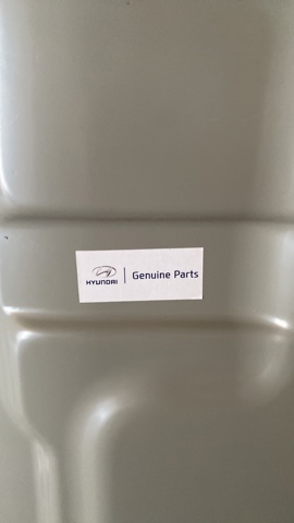  Hyundai/Kia 69100AA000