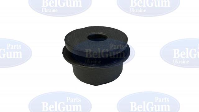 BG2270 Belgum Buje de mangueta trasera