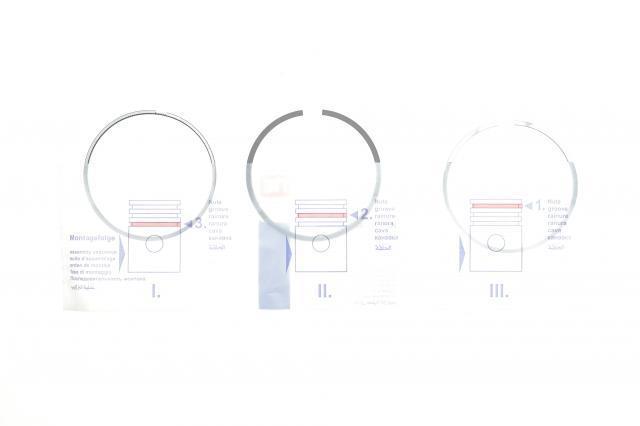 Juego de anillos de pistón para 1 cilindro, STD NE/NPR 120007004400 precio, desde 21,61 EUR