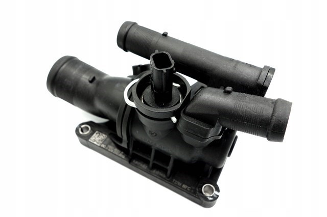 Termostato 110606973R Renault (RVI)
