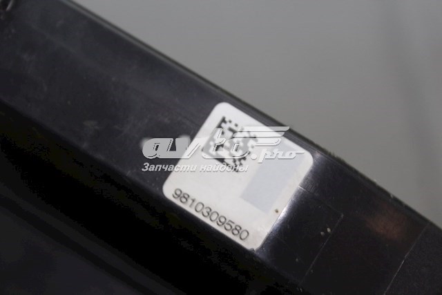 Cerradura 9810309580 Peugeot/Citroen