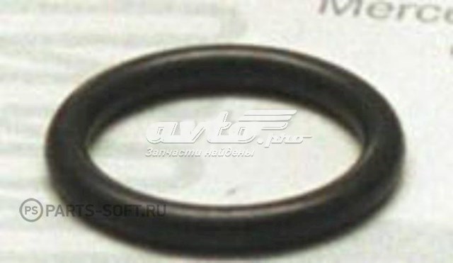 6019970148 Ford anillo de sellado de filtro grueso