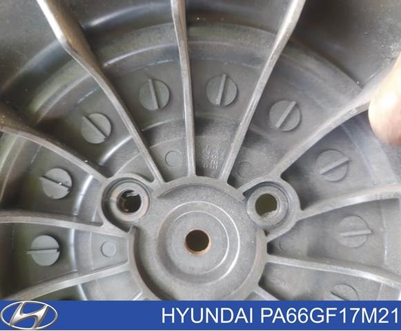  Hyundai/Kia PA66GF17M21 precio, desde 62,44 EUR