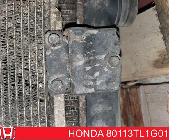 80113TL1G01 Honda