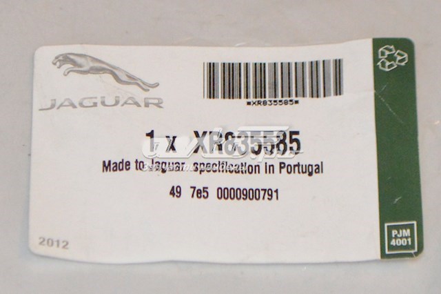 XR835585 Jaguar