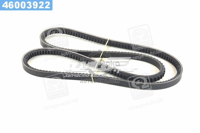 Correa de transmisión trapezoidal Dayco 13A1300C precio, desde 17,50 EUR