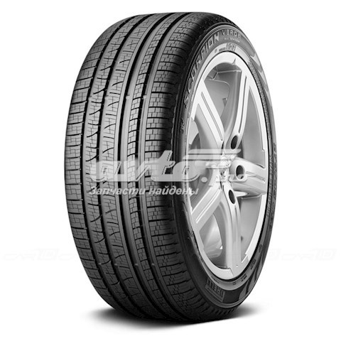 2354200 Pirelli Neumáticos para todas las estaciones