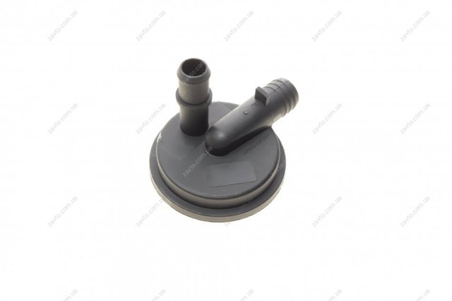 Comprar RWS1381 Rotweiss Válvula PCV