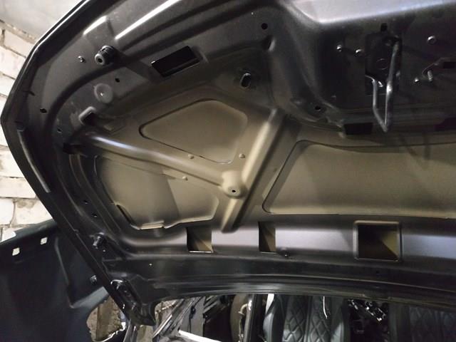 Comprar 9842375180 Peugeot/Citroen Capó