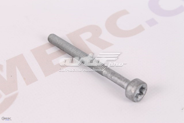 Tornillo, soporte inyector MERCEDES A0019902607