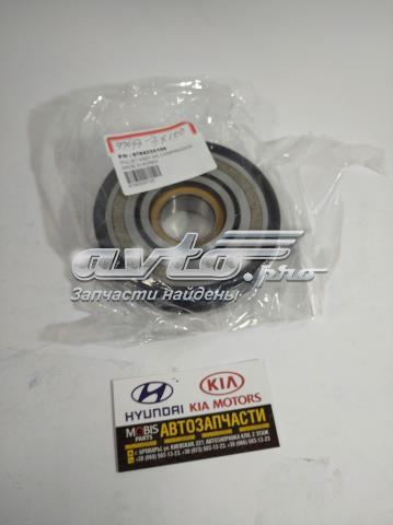 976433X100 Hyundai/Kia polea compresor a/c