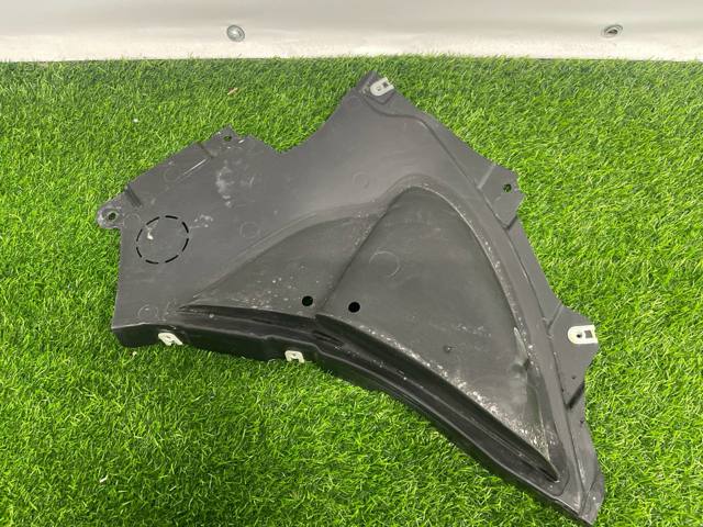 Protector izquierdo del parachoques delantero BMW 51717340861 precio, desde 32,73 EUR