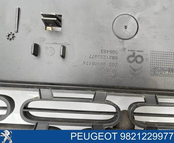 9821229977 Peugeot/Citroen