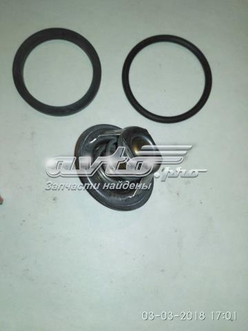 Termostato WAHLER 301792D50