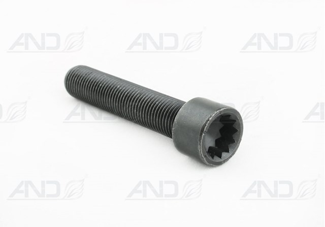 Tornillo, rueda dentada árbol de levas Volkswagen Transporter T5 (7HB, 7HJ)