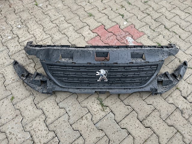 Comprar 9818281980 Peugeot/Citroen 