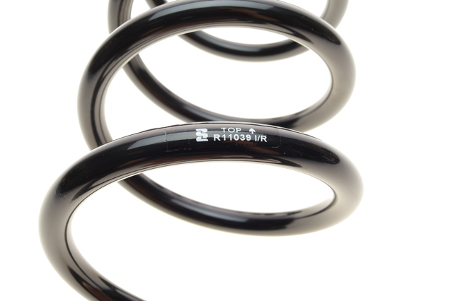 Muelle de suspensión trasero Eibach R11039 precio, desde 30,95 EUR