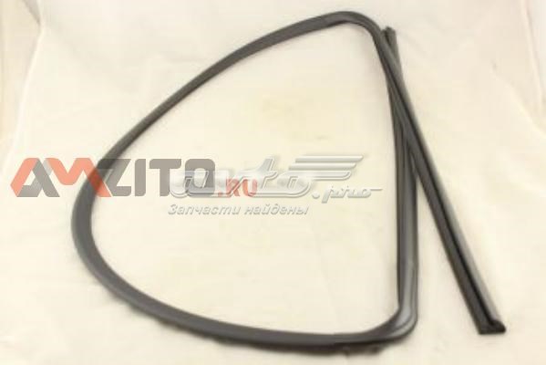 Moldeado del parabrisas FPS GS3735P110X