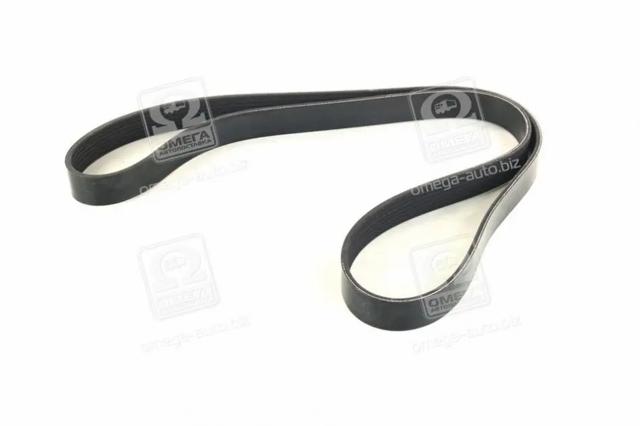 Correa accesorios Dayco 7PK1360