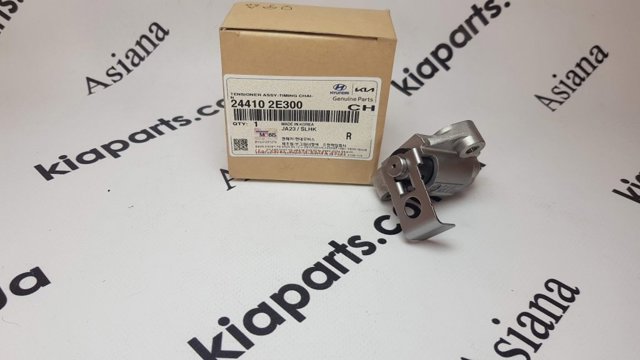 Tensor de cadena de distribución Hyundai/Kia 244102E300