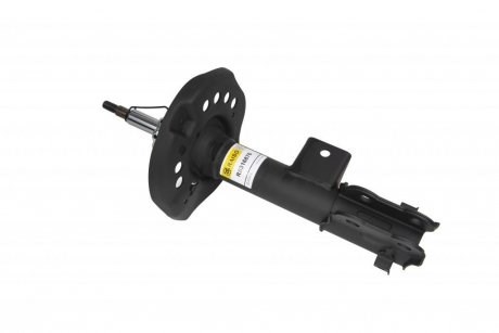 Amortiguador delantero derecho Raiso RS316876 precio, desde 68,01 EUR