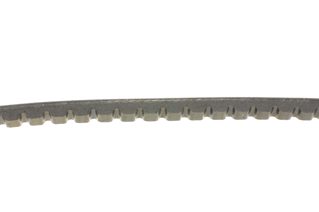 AVX10X1350 Continental/Siemens Correa poly v