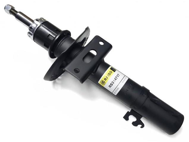 Amortiguador delantero Raiso RS314717