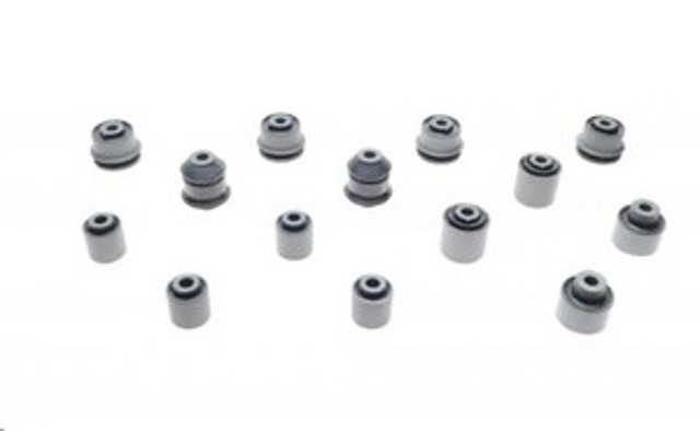 Kit de silentblocks del puente trasero Belgum BGKIT11