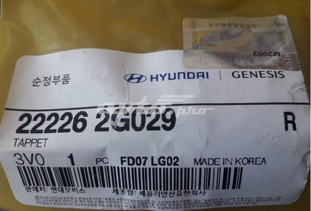 222262G029 Hyundai/Kia