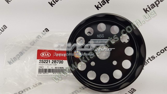 HYUNDAI 252212B700 polea, bomba de agua Hyundai Accent