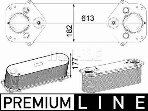 CI231000P Mahle Original