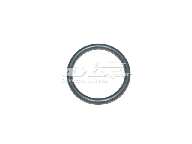9616016580 Fiat/Alfa/Lancia anillo de estanqueidad de un tubo de derivación de un radiador