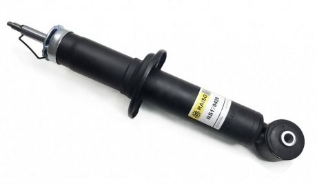 Amortiguadores traseros Raiso RS170428
