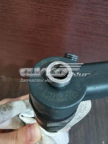 0445110296 Bosch inyector