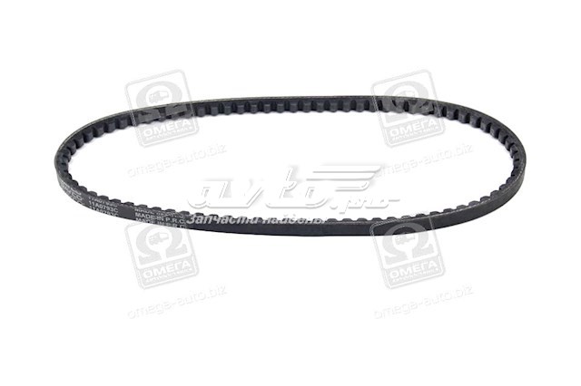 Correa de alternador 11A0793C Dayco