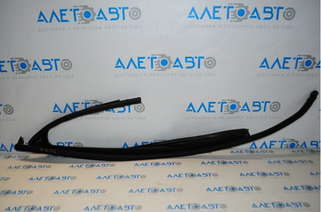 Comprar 5NN837431EVNH VAG Guía de cristal del marco de la puerta delantera izquierda