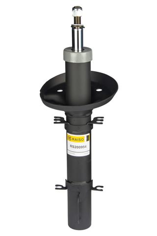 Amortiguadores Raiso RS200954 precio, desde 31,94 EUR