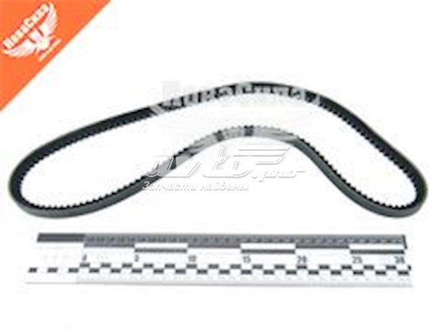 Correa de transmisión trapezoidal Dayco 13A1050C precio, desde 13,98 EUR