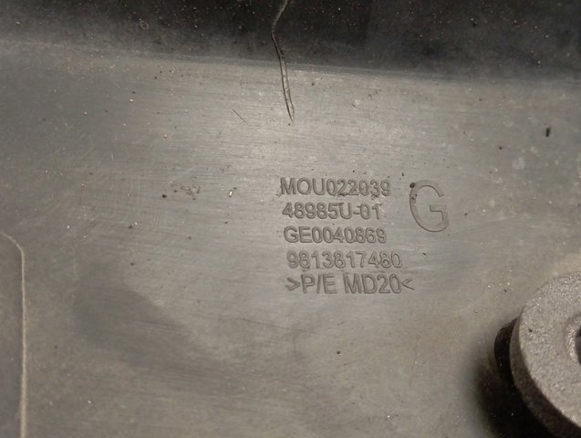 Comprar 9813817480 Peugeot/Citroen 
