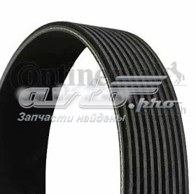 9PK2260 Continental/Siemens Correa poly v