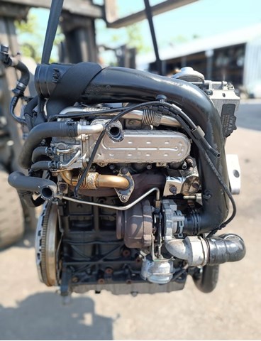 Comprar BXF VAG Motor completo