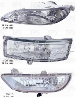 FP8163H1E Depo/Loro