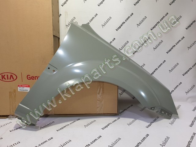 Aleta delantera para KIA Rio  