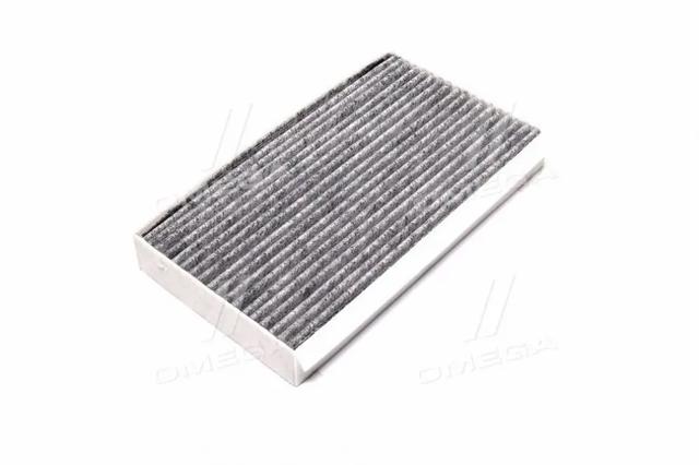 REC610303 Rider Filtro antipolen