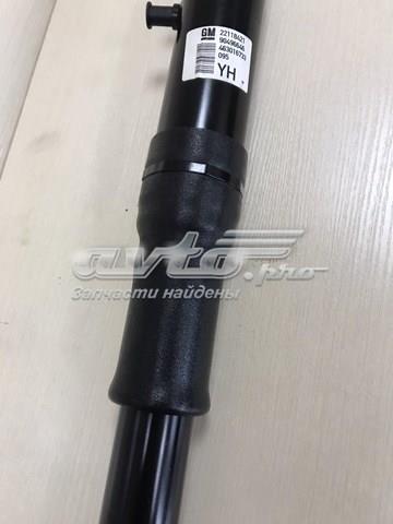 Amortiguadores traseros General Motors 90496646
