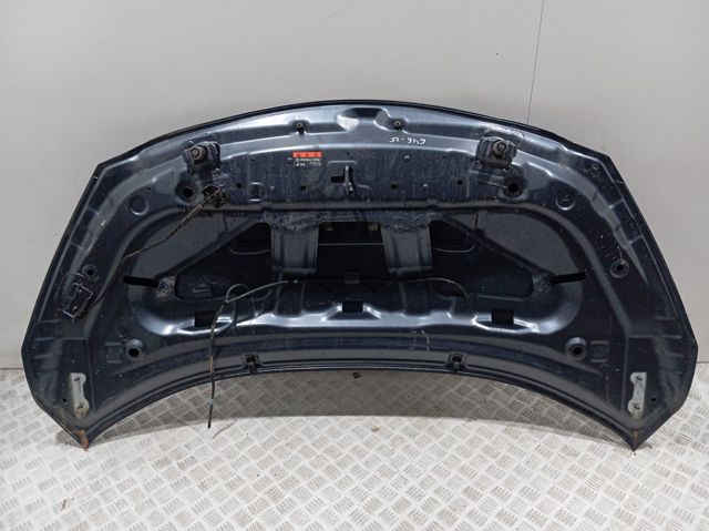651005FA0J Nissan/Infiniti Capó delantero