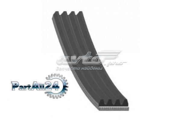 4PK1245 Continental/Siemens Correa poly v