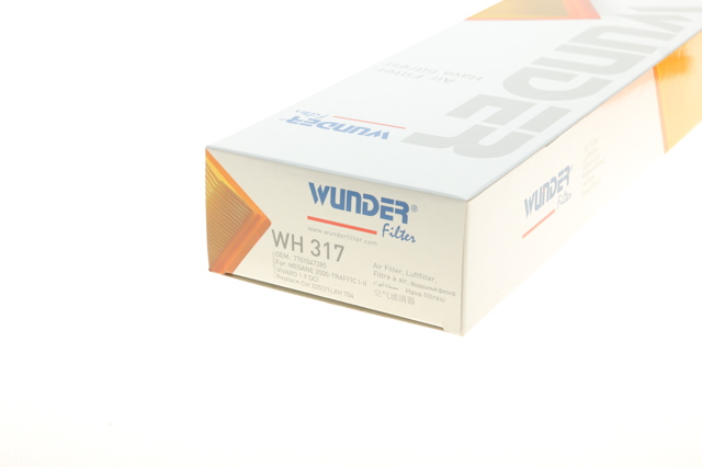 WH317 Wunder Filtro de aire de motor