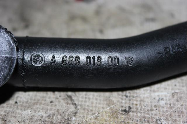 Tubo de ventilación del cárter A6680180012 Mercedes