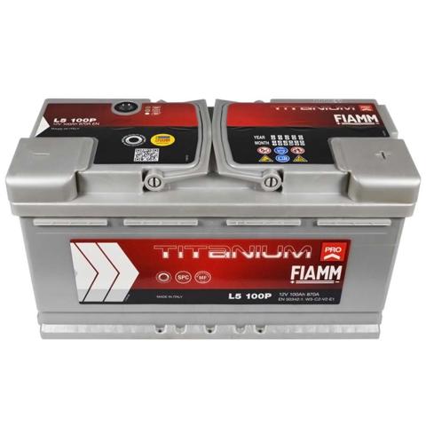 Batería 7905160 Fiamm